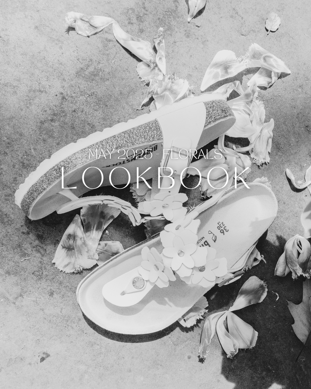 May 2025 Lookbook - Florals