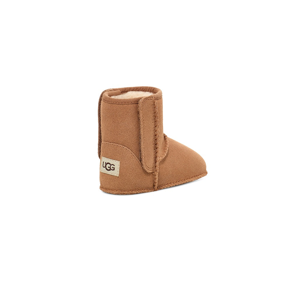 Baby Classic (Chestnut) back