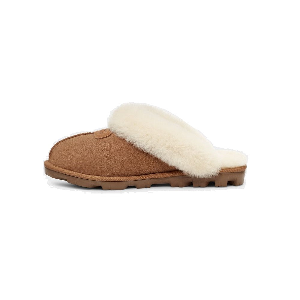 Coquette (Chestnut) other side
