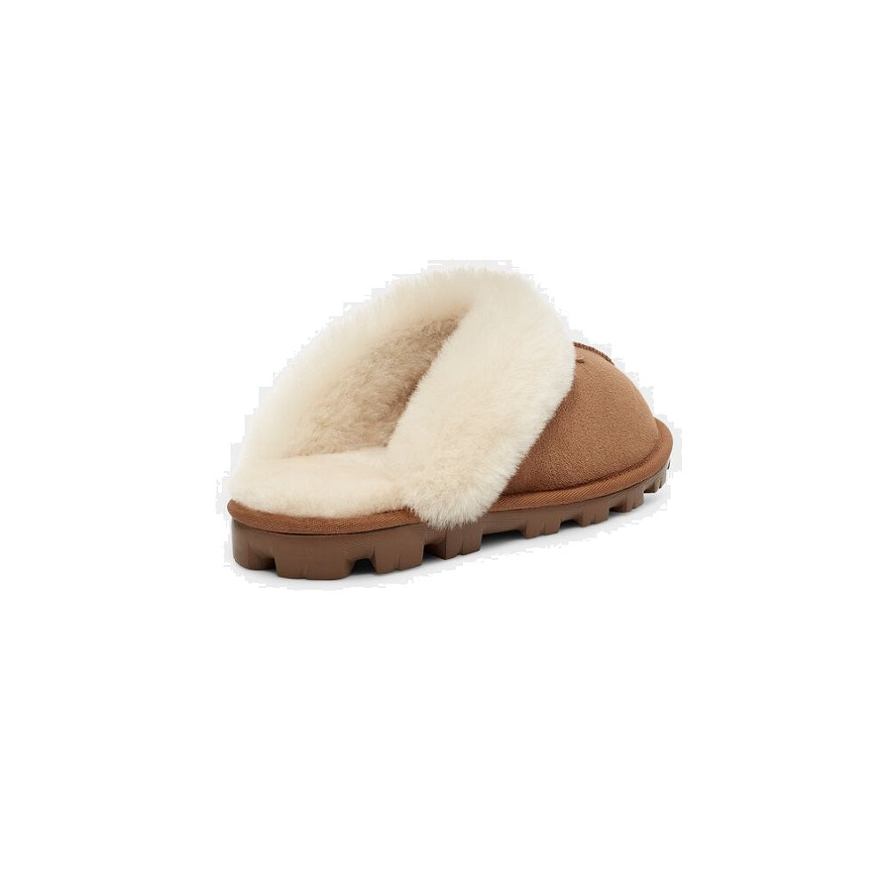 Coquette (Chestnut) back